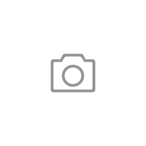 Vollsichtbrille FS100 - VLSICHTBRIL-FS100-EN166