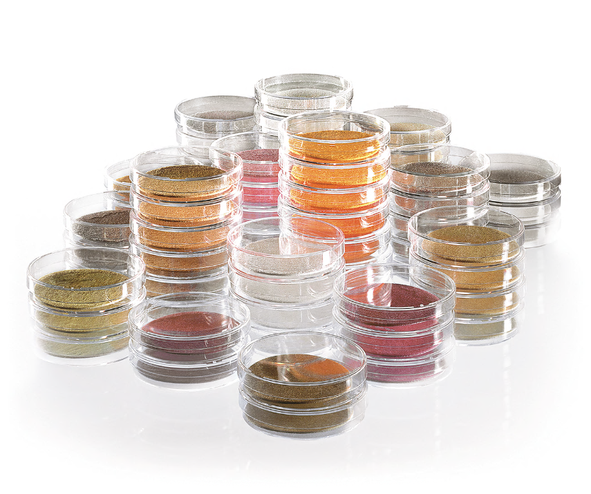 Nutrient carton slices in Petri dishes 